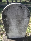 The two young children who lie here, Annie and Henry Clifton, died in a fire in Spring Gully.